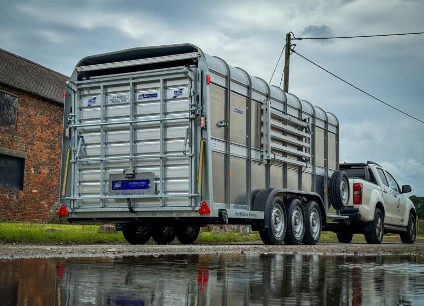 2025 Ifor Williams TA510 16x6 (497x178x182cm) Veetrailer 3-asser ADV1146 | Aanhangwagen | Veetrailer