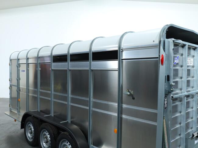 2025 Ifor Williams TA510 16x6 (497x178x182cm) Veetrailer 3-asser ADV1146 | Aanhangwagen | Veetrailer