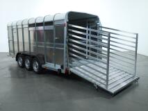 2025 Ifor Williams TA510 16x6 (497x178x182cm) Veetrailer 3-asser ADV1146 | Aanhangwagen | Veetrailer