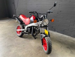 1988 Honda ZB50 VK5200 | Transport | Bromfiets / Motor