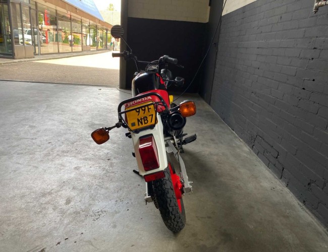 1988 Honda ZB50 VK5200 | Transport | Bromfiets / Motor